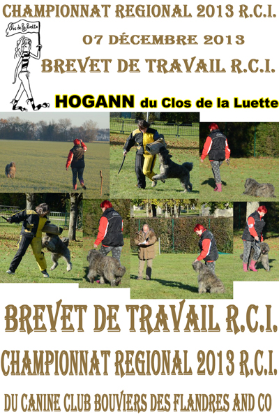 HOGANN du Clos de la Luette Brevet de travail en RCI &copy;